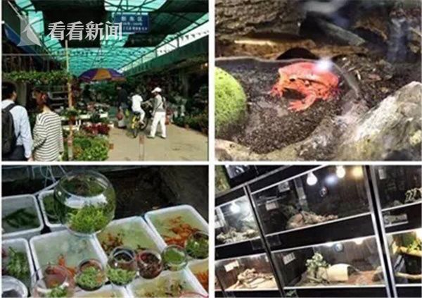 日本三级片高潮抽搐免费观看