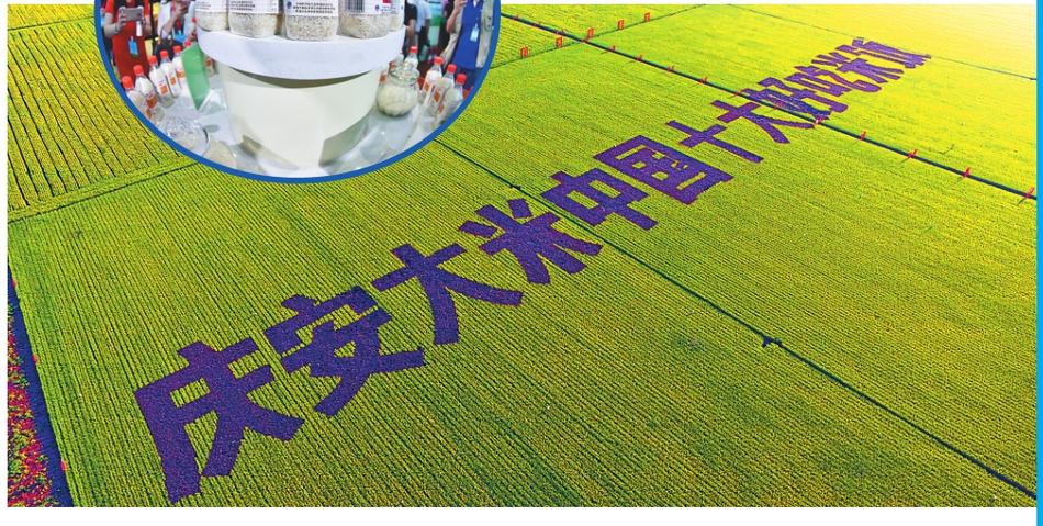 絲襪足交
