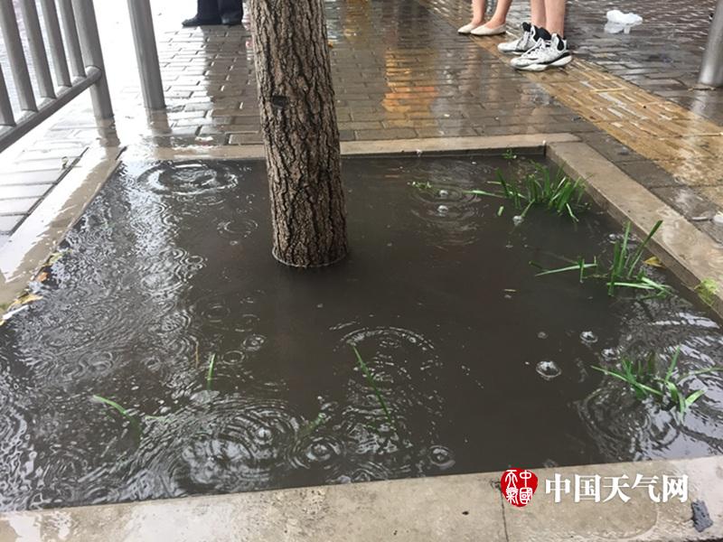 91亚洲精品国偷拍自产在线观看