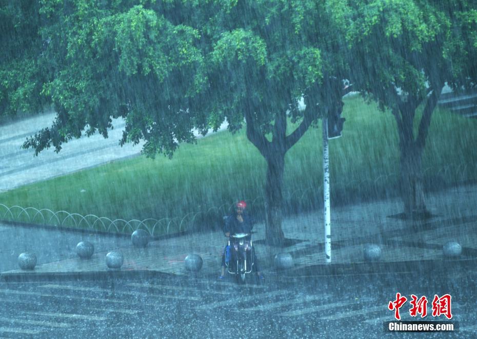 无码午夜