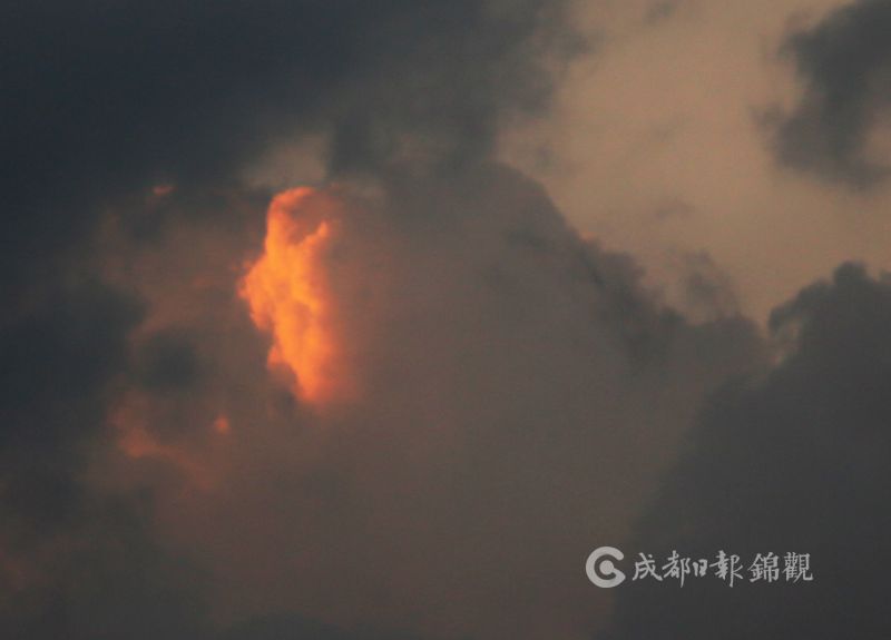 无码在視线淫乱