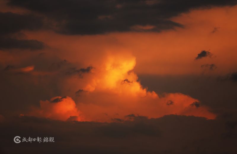 台湾美女直播