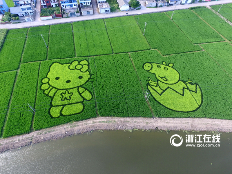 无码在視线淫乱