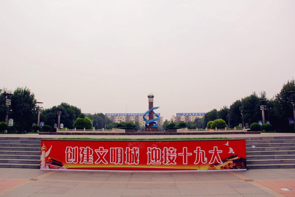 视频全黄色