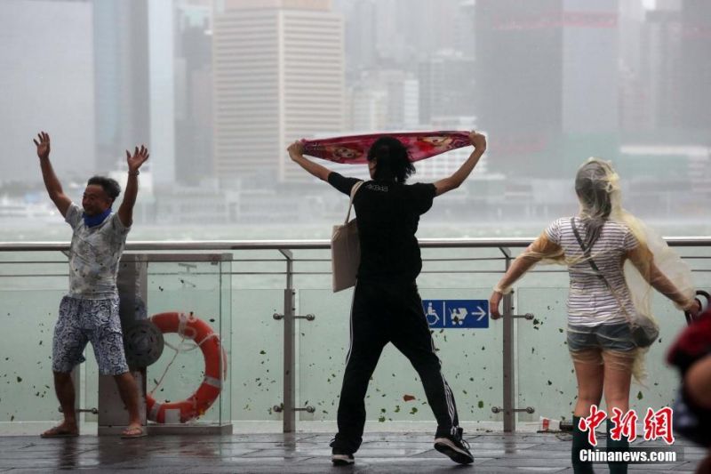 鸥美三级片在线观看
