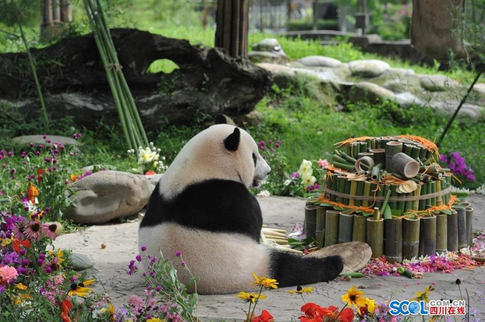 adc影视年龄确认实名认证欢迎