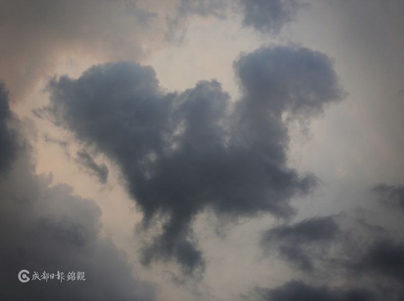 真人一级毛片