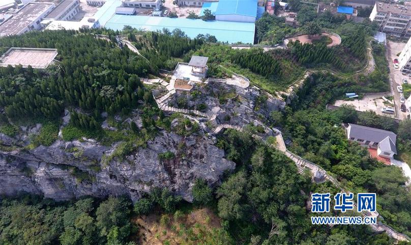 国产19禁黄网站免费观看