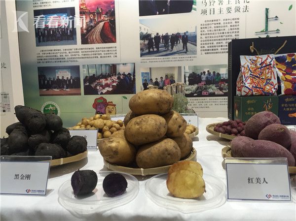最 全 成人 网站