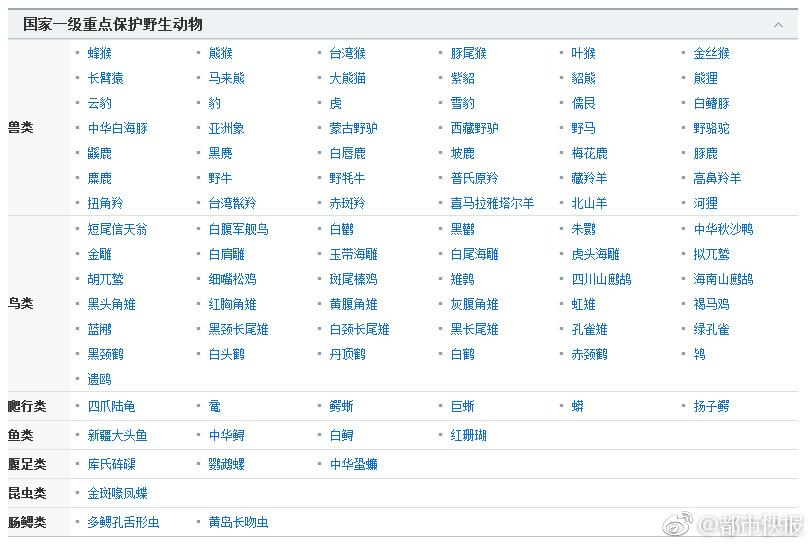 成人富二代
