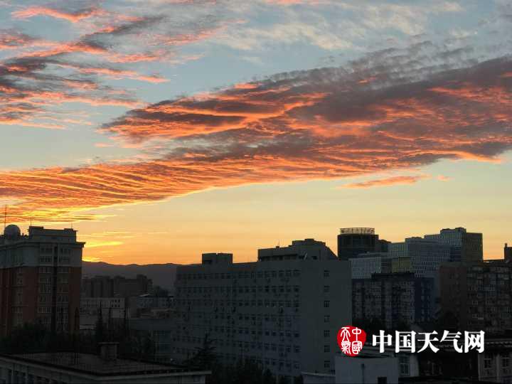 免费看伦理电影日韩