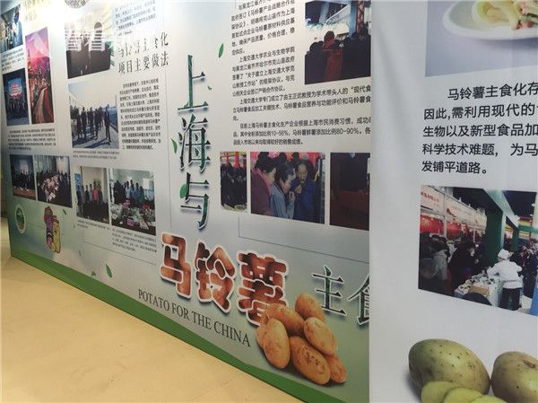 免费无遮挡 视频网站有声音