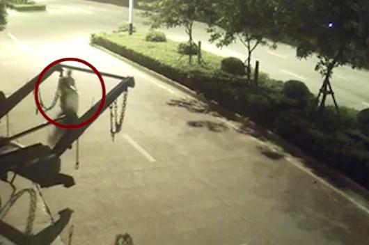 欧美大兵同性猛交