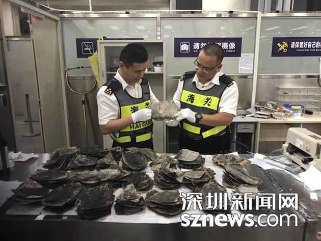 免费 成人 在线
