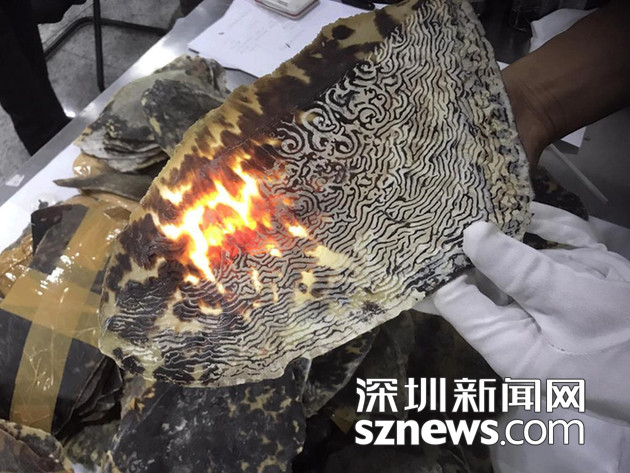 潘金莲的奶又白又大