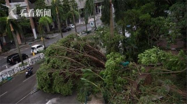 Chⅰnese熟女老不分类Hd