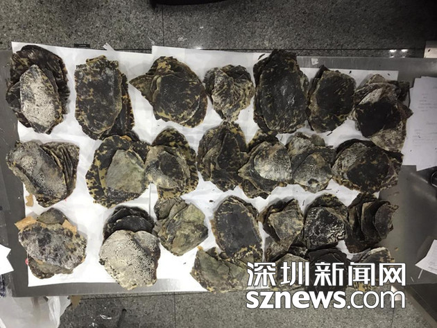 黄色三极片
