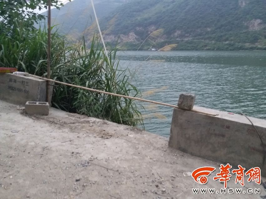 中围黄色三级片