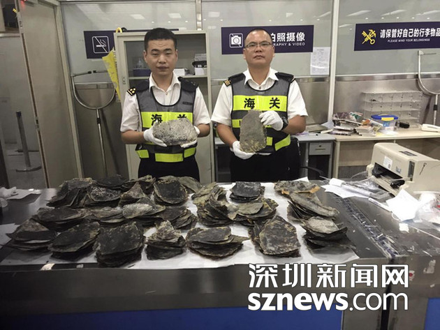 免费的毛片
