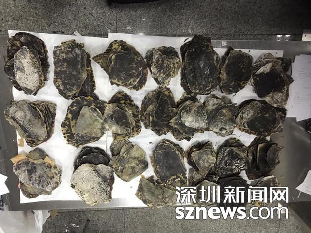 闹洞房激情自拍偷拍视频