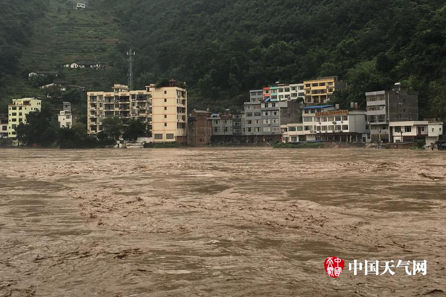黑人系列