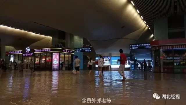 一级A片女人与公狍交酡全过