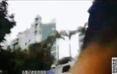 欧美最大高清播放性网