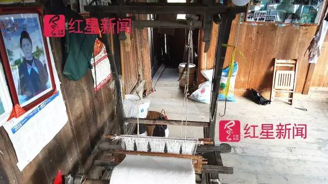 国模GOGO大尺度专业人体