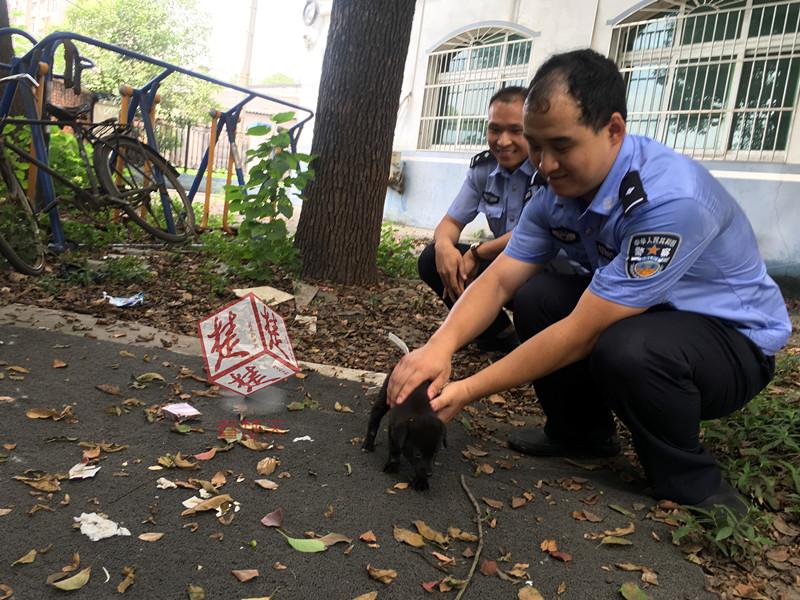 特黄性爱免费视频在线播放