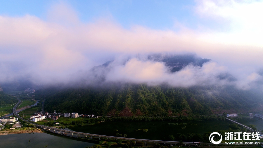 香草传媒