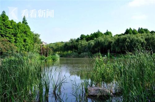 妲己爆乳一丝丝不挂