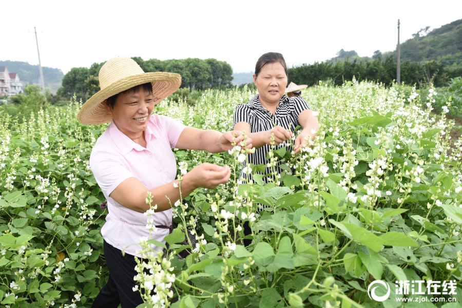 精品人妻无码中文字幕在线