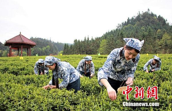 精品国产乱码久久久兰草影视