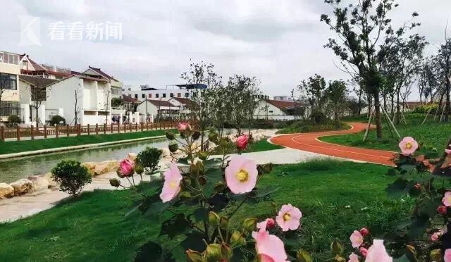 欧美性猛交 XX 自慰中国