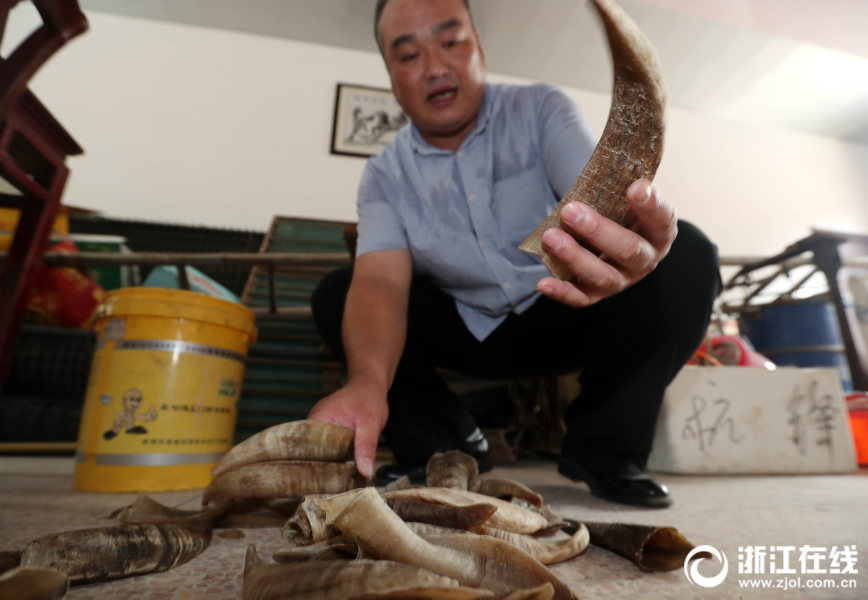 好大 用力 深一点公交车