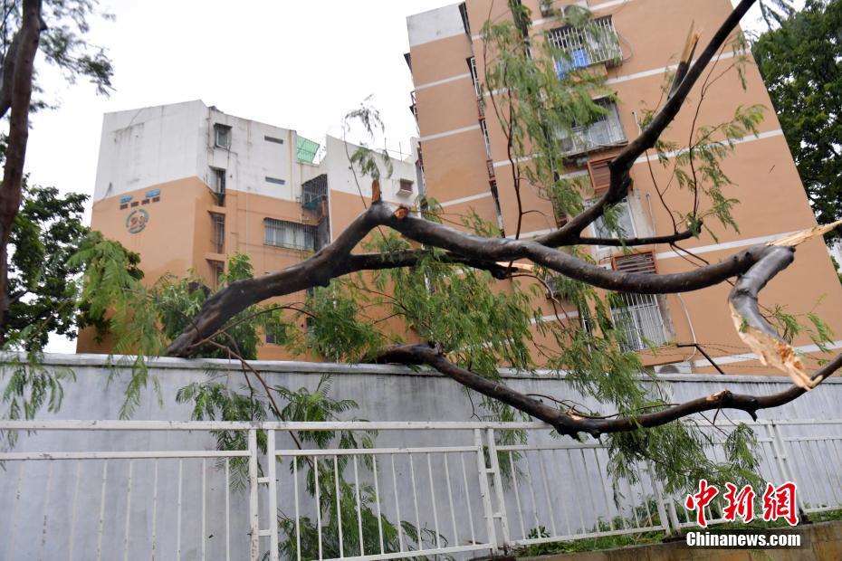 国产精品乱码一区二三区张津瑜