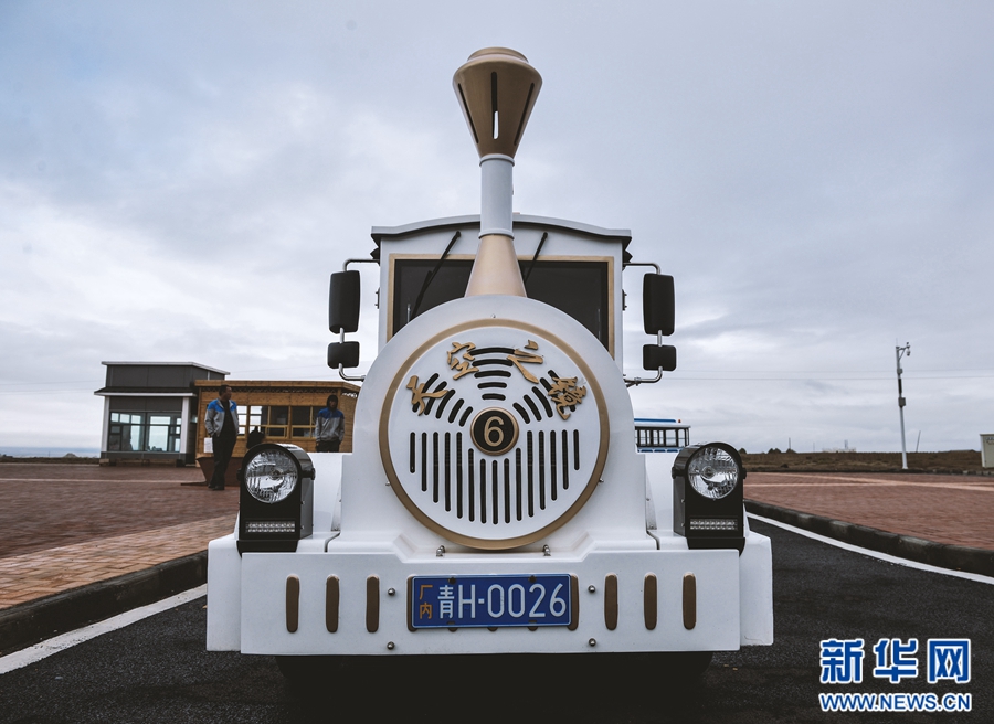 国外 成人 网