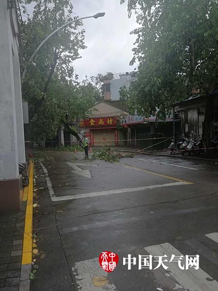 精品黄色Av网站在线观看