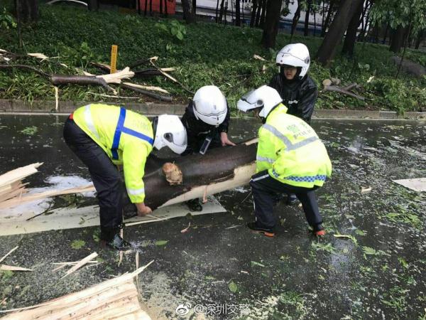 裸体黄色网站是什么