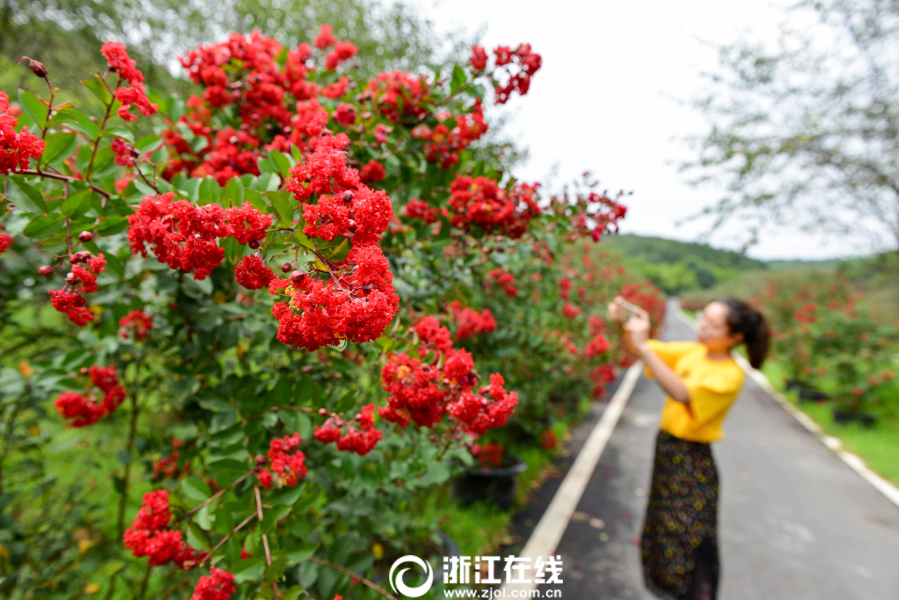 金莲高潮三级做爰