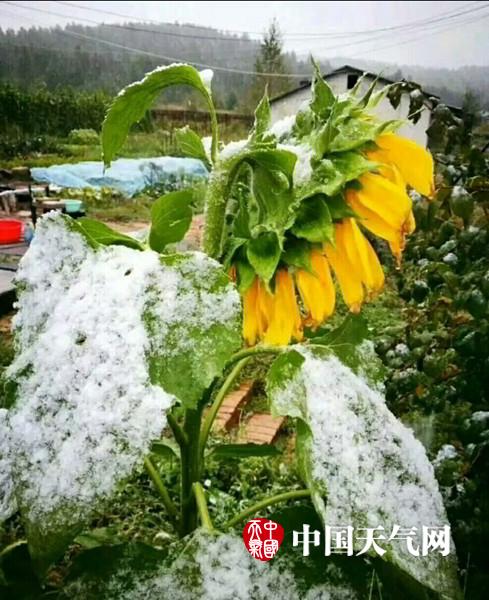 www毛片