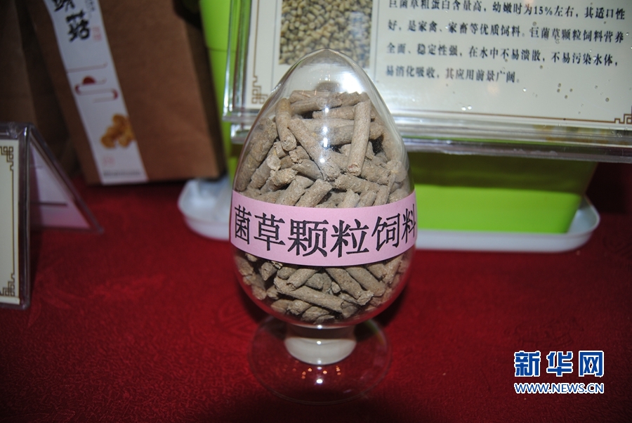 真人强弙112分钟