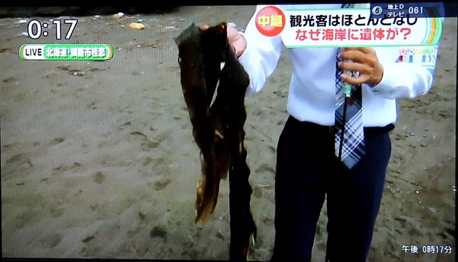熟妇性Hqmaturetubesex