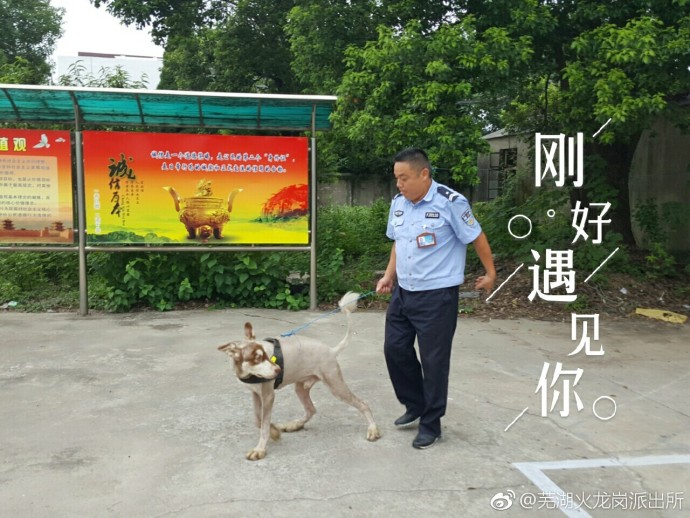 超碰免费在线