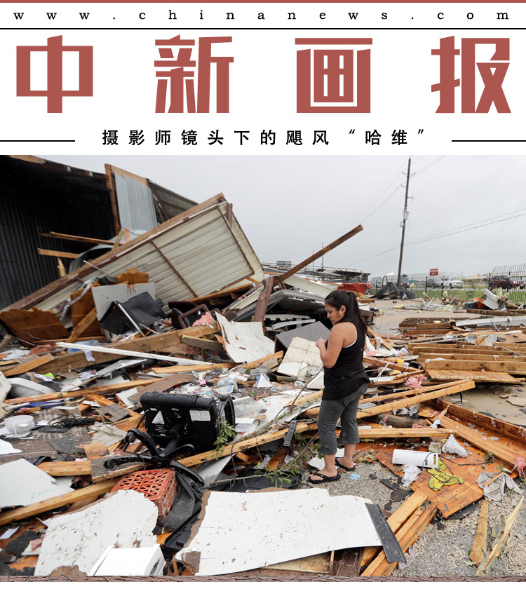 免费黄色电影小说