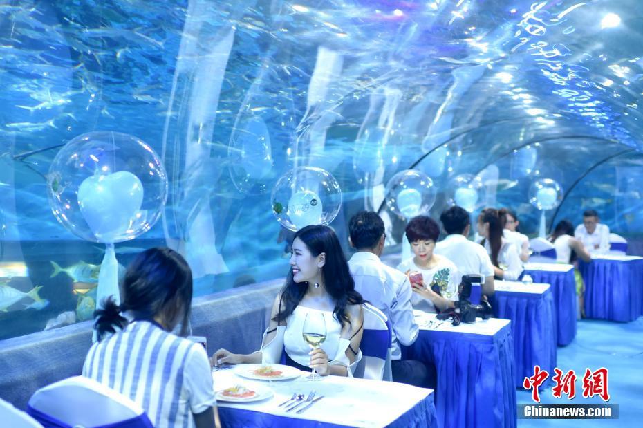 缅北在线观看www网站入口
