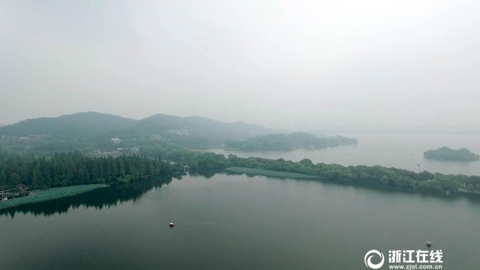 张丽