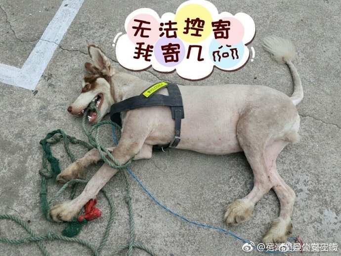 女老师自慰电影