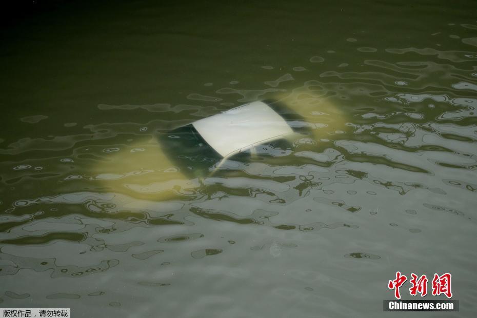 恐怖血腥网站www软件免费