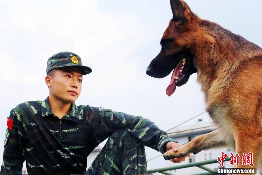 91丨国产丨白浆秘 冰块